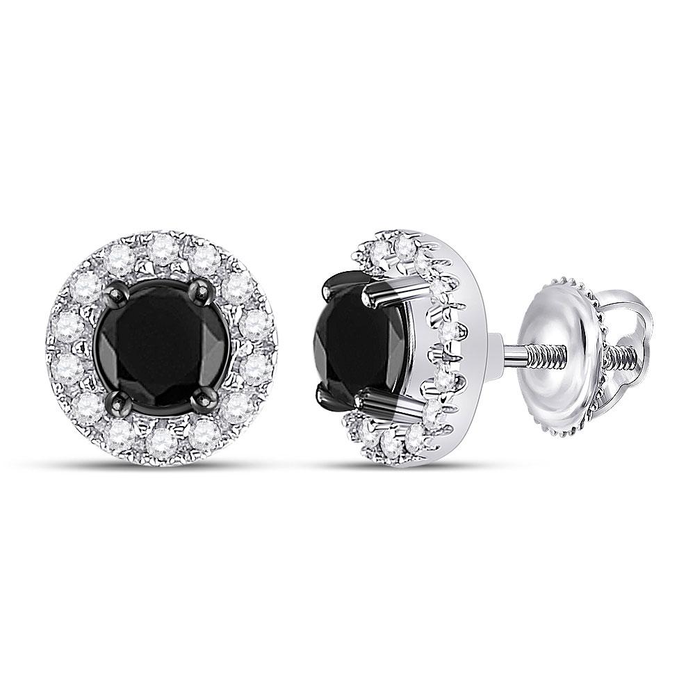 10kt White Gold Captivating Round Black Diamond Stud Earrings - Splendid Jewellery