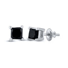 10kt White Gold Princess Black Diamond Solitaire Earrings - Captivating Elegance - Splendid Jewellery