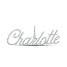 10kt Yellow Gold Men's Round Diamond Charlotte Charm Pendant - 1 - 1/5 Cttw | Splendid Jewellery - Splendid Jewellery