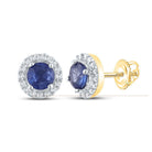 10kt Yellow Gold Womens Round Blue Sapphire Halo Earrings: Captivating Elegance - Splendid Jewellery