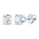 Diamond Stud Earrings in 14K White Gold Gift Edition - Splendid Jewellery
