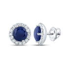 14K White Gold Gift - Ready Blue Sapphire Earrings with Elegant Styling - Splendid Jewellery