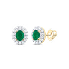 14K Yellow Gold Emerald Stud Earrings 1/8 Cttw - Splendid Jewellery