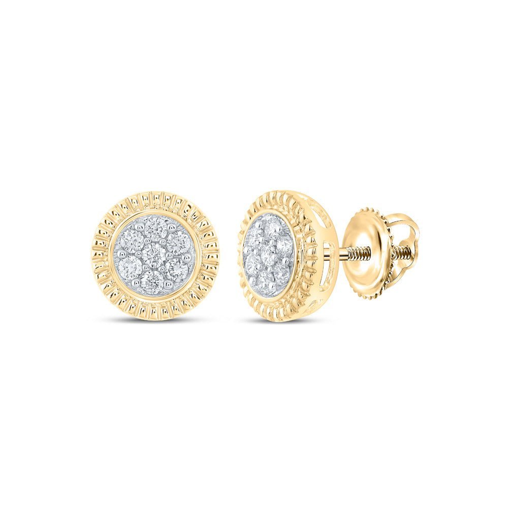 Dazzling Floral Brilliance: 10kt Yellow Gold Women's Round Diamond Flower Cluster Earrings 1/4 Cttw - Splendid Jewellery