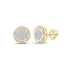 Radiant Brilliance: 10kt Yellow Gold Womens Round Diamond Cluster Earrings 1/5 Cttw - Splendid Jewellery