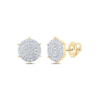 Radiant Brilliance 10kt Yellow Gold Womens Round Diamond Cluster Earrings - Splendid Jewellery