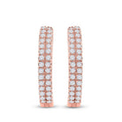 Rose Gold Diamond Brilliance Hoop Earrings - Splendid Jewellery