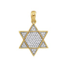 10kt Yellow Gold Men's Diamond Star of David Pendant 1/5 Cttw | Splendid Jewellery - Splendid Jewellery