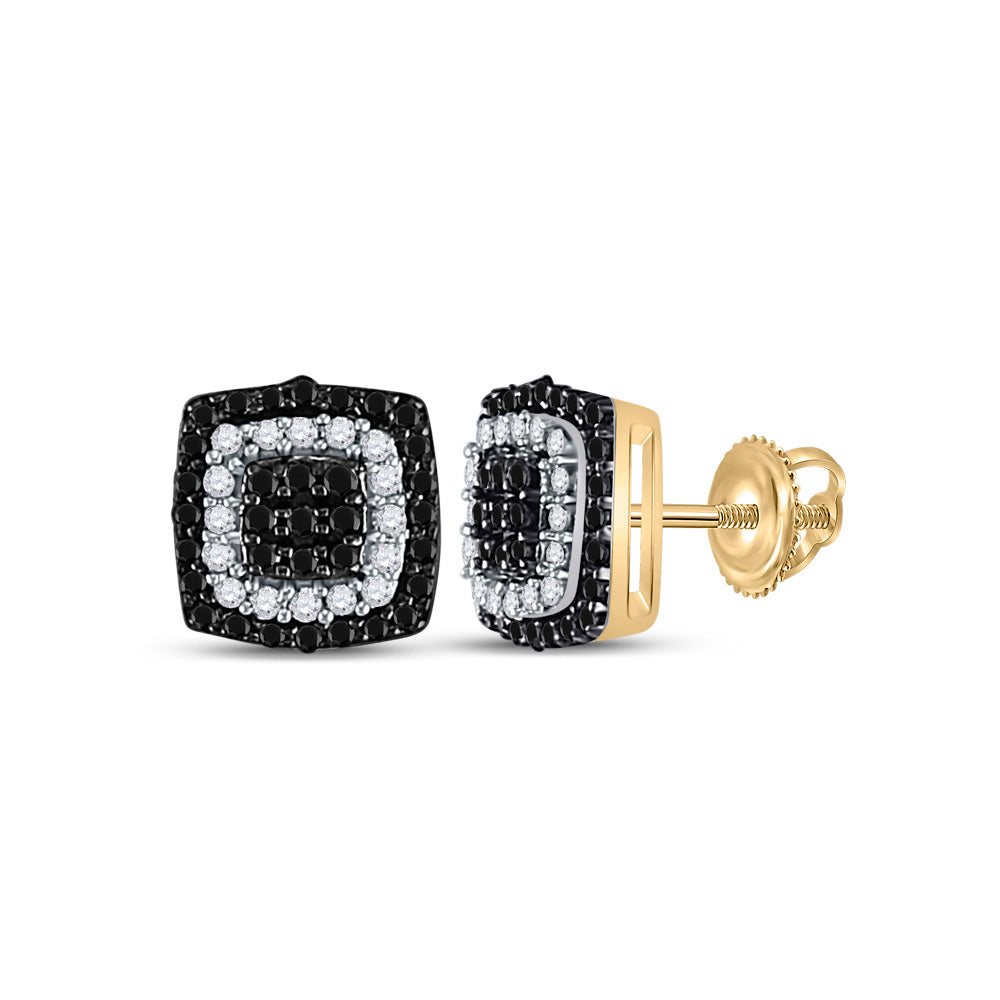 Earrings | 10kt Yellow Gold Womens Round Black Color Enhanced Diamond Square Earrings 1/5 Cttw | Splendid Jewellery GND